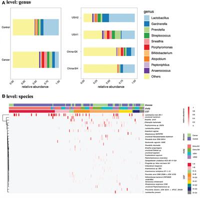 Leveraging 16S rRNA data to uncover vaginal microbial signatures in women with cervical cancer